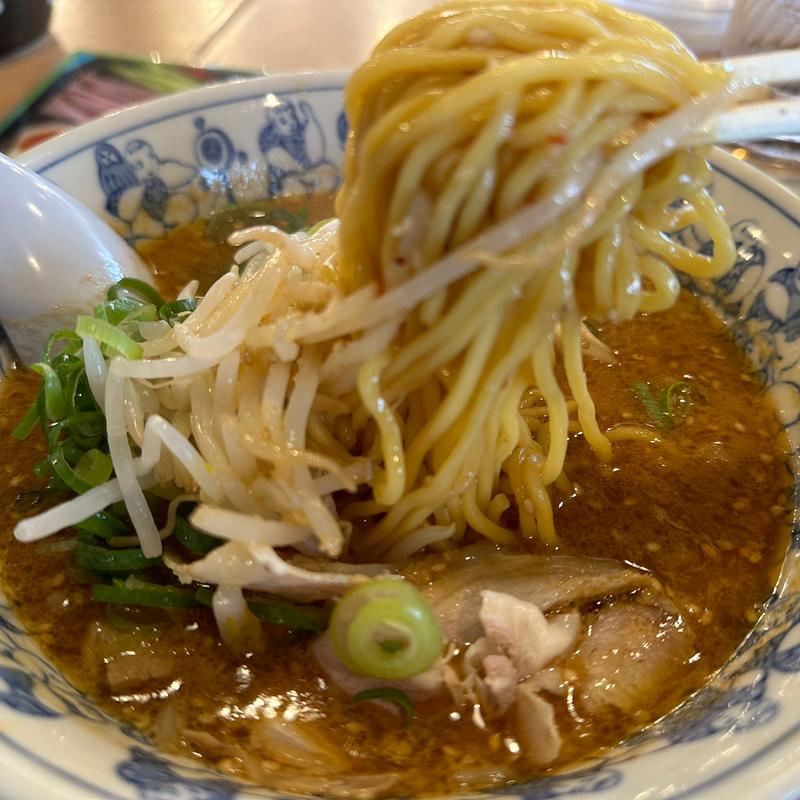 蔵出し熟成味噌　みそラーメン(麺屋壱力本舗 春日井店)
