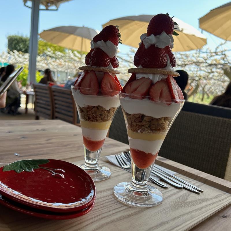 いちごパフェ(芳蔵園 From Farm農園カフェ （11月8日Open))