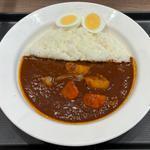 カツに合うカレー（にんじゃが入り）+ゆで玉子