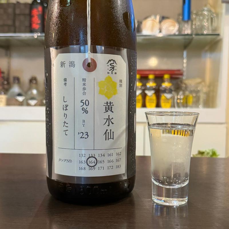 黄水仙(ルッカ)