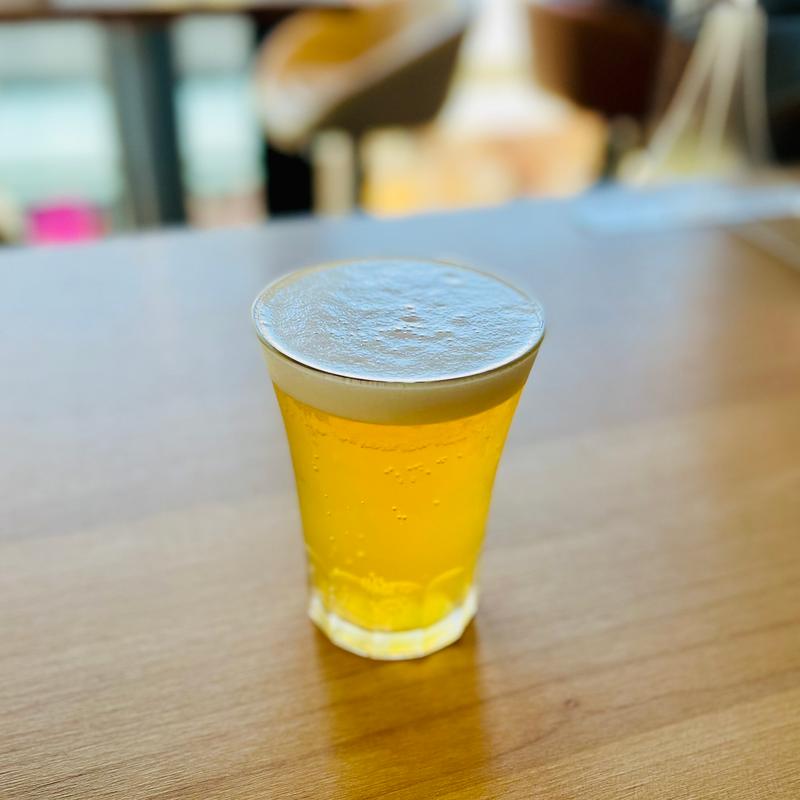 AFT BEER～全品チケット1枚～ BROOKLYN DEFENDER IPA（ブルックリンディフェンダーIPA）(CRAFT SAKE STAND やなか純米や)