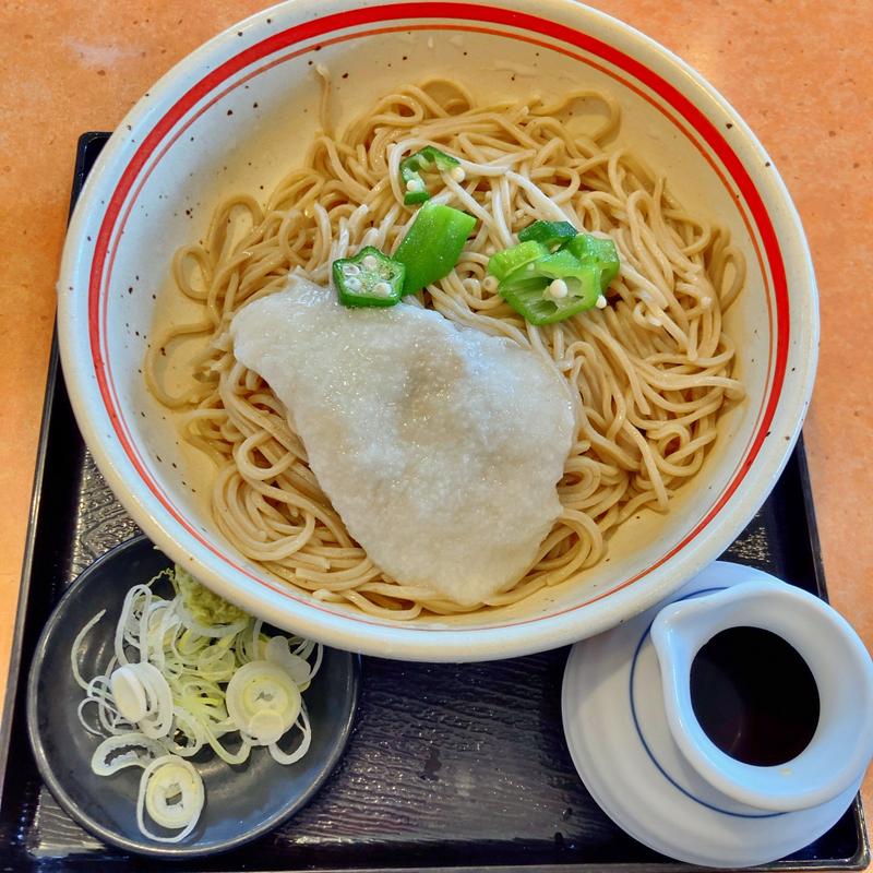 とろろそば（大盛）(そば元本舗 那珂店 （そばげんほんぽ）)