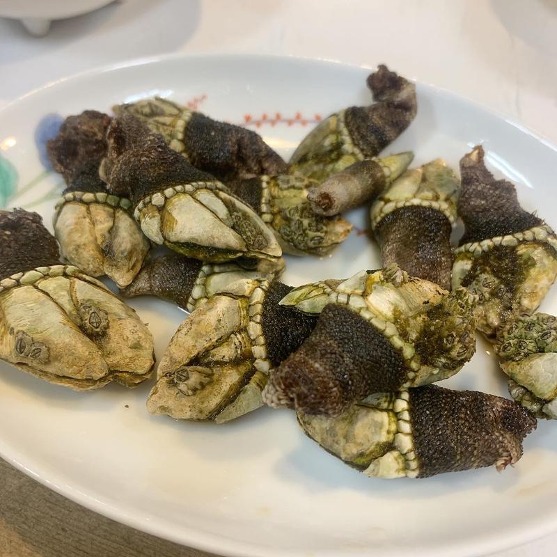 カメノテ(櫂艪)