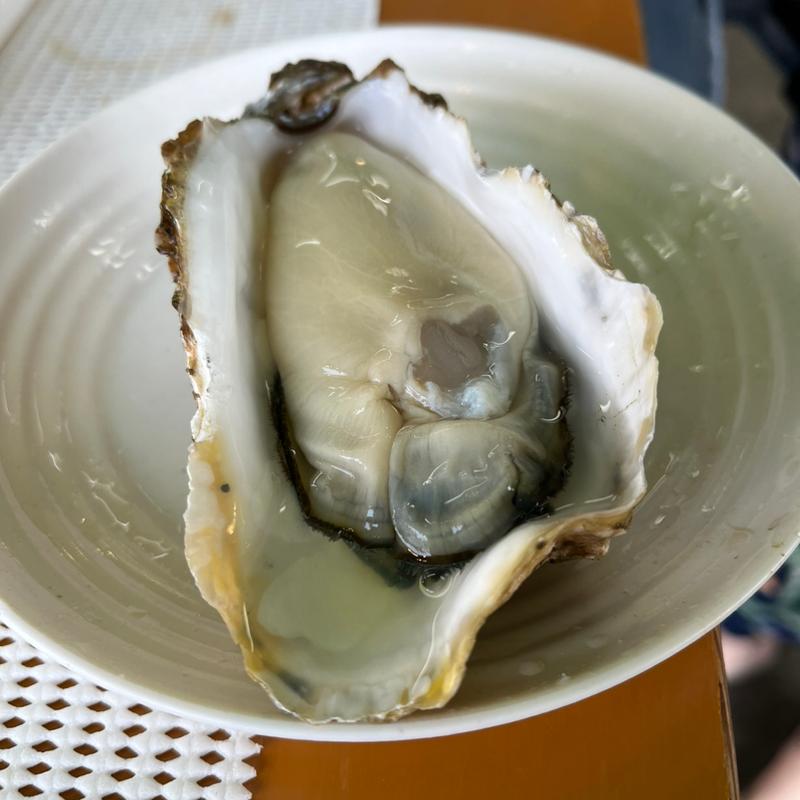 生牡蠣(浜焼きセンター金八 )