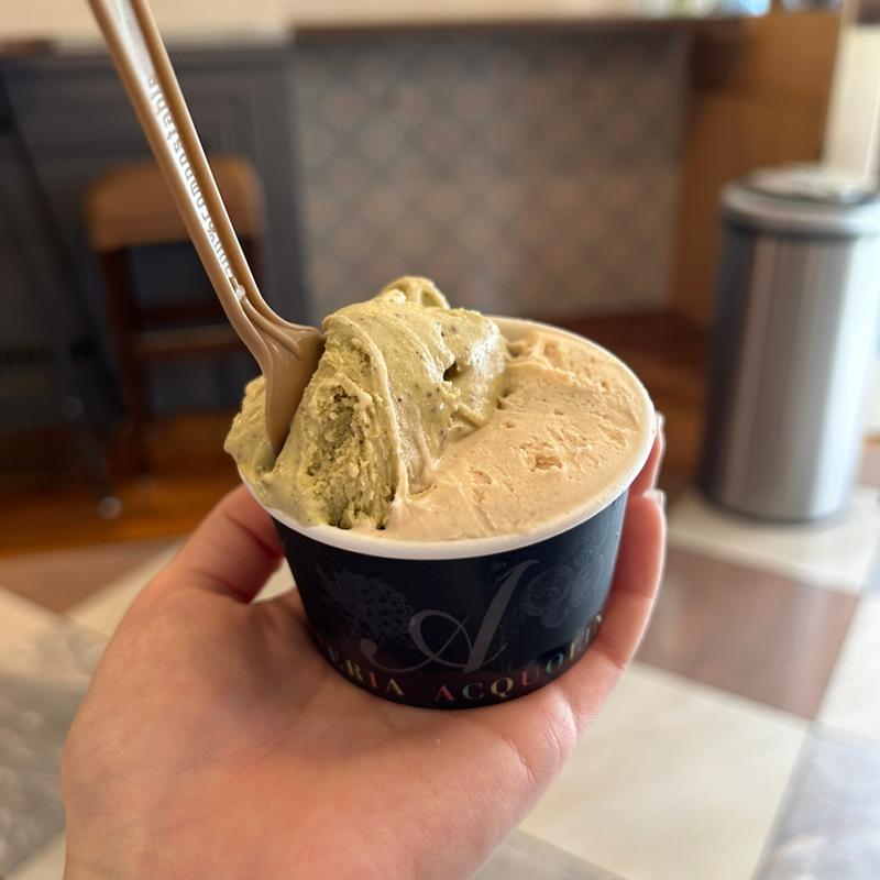 ピスタチオ&ノッチョーラ(ジェラテリアアクオリーナ （GELATERIA ACQUOLINA）)
