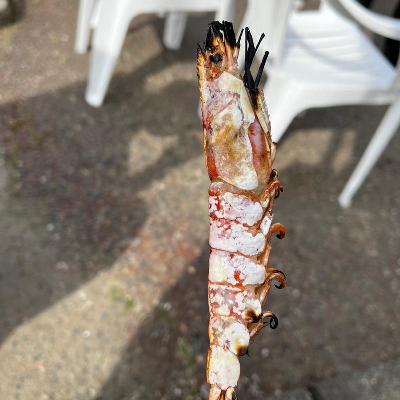 エビ(浜焼きセンター金八 )