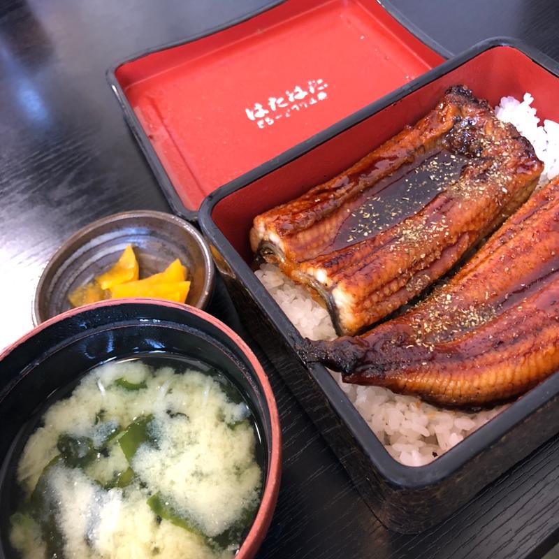 うな重(はたはた )