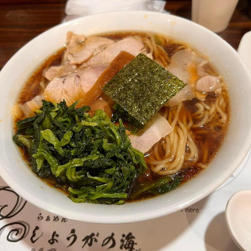 しょうが醤油ラーメン 大盛 ほうれん草(らぁめん しょうがの海)