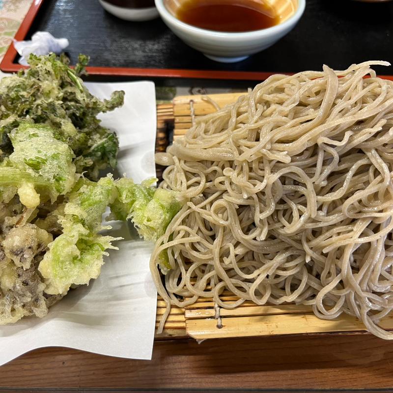 山菜天ぷらせいろ(大盛り)(やぶそば )