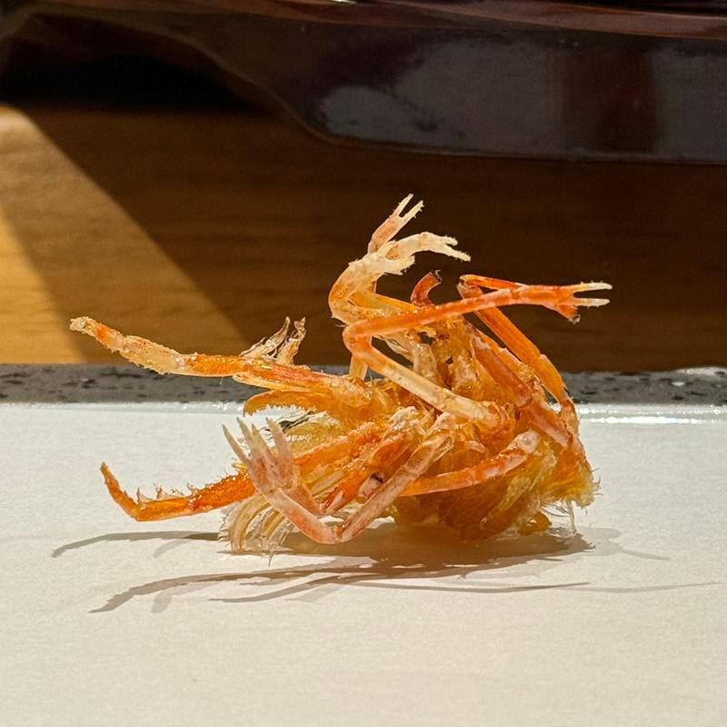 車海老頭(玄水)