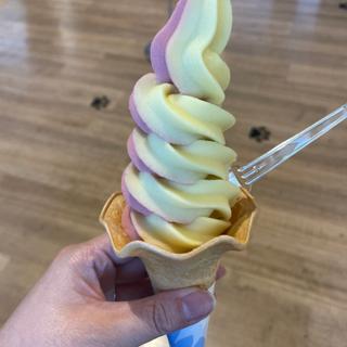 ソフトクリーム(道の駅 天童温泉)