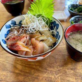 イカ地魚丼(坂下 )