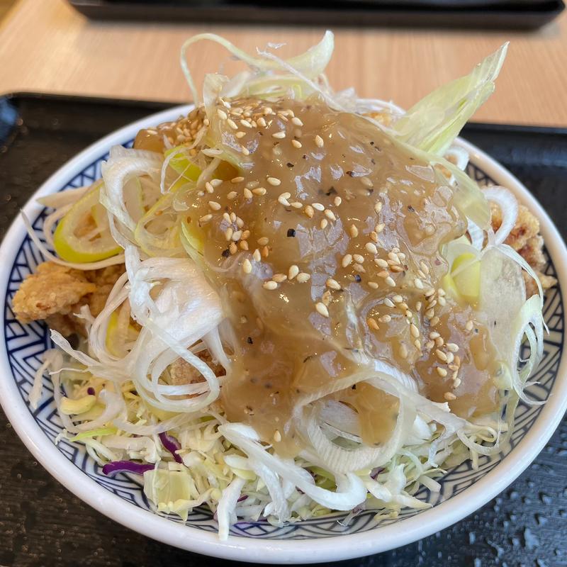 ねぎ塩唐揚げ丼(吉野家 札幌狸小路店)