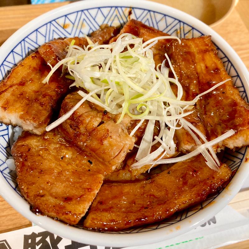 豚バラ丼(並)(元祖豚丼屋TONTON 山科西金ヶ崎店)