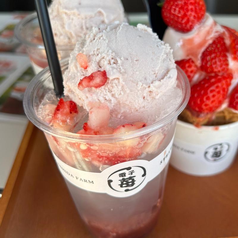 苺ソーダフロート(HIGASHIDA FARM STRAWBERRY)