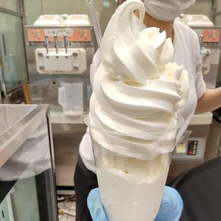 Wソフトクリームの白いパフェ(円山牛乳販売店)