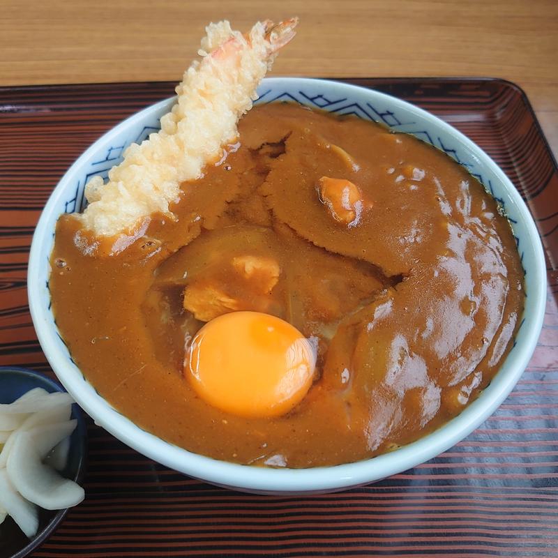 カレーそば＋大盛り＋天ぷら＋卵(ときの屋 （ときのや）)