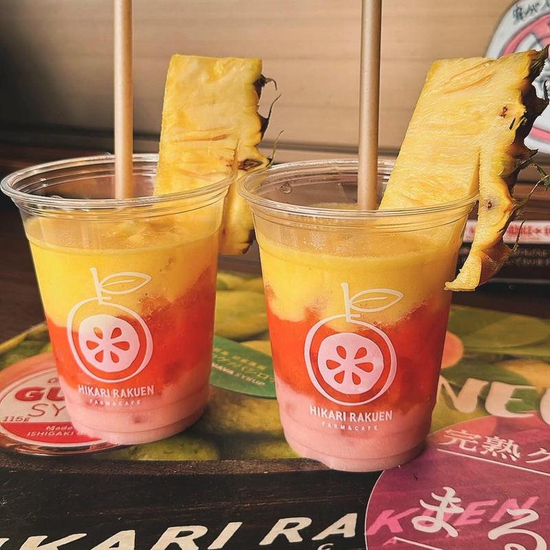 フレッシュミックスジュース トロピカル(光楽園)