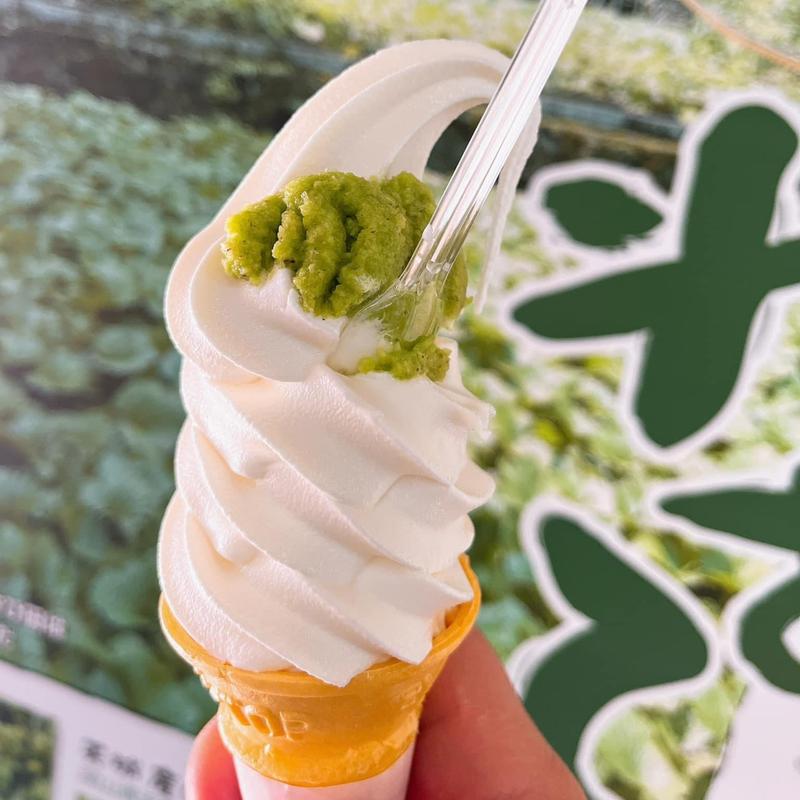 生わさびソフトクリーム(天城わさびの里 （「道の駅」天城越え内）)