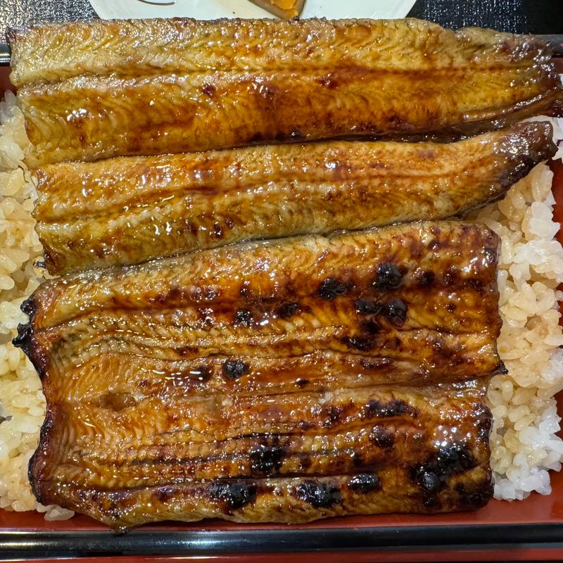 うな重(上)(鉢の木)