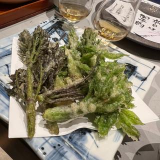 山菜の天ぷら(日本料理 とらの巻)