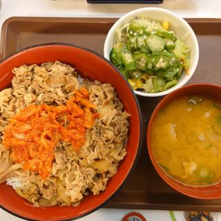メガ 牛丼(すき家 6号松戸きよしヶ丘店)