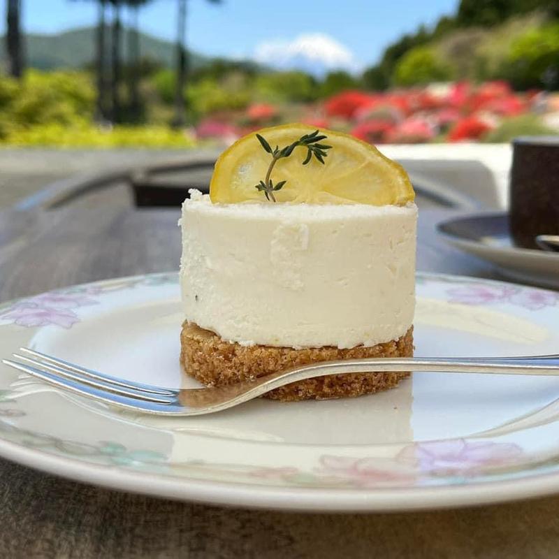レモンチーズタルト(日本料理 つつじの茶屋 山のホテル)