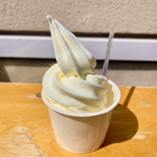 別海町牛乳ソフトクリーム(円山牛乳販売店)