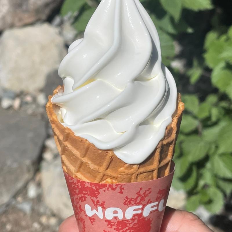 プレミアムソフトクリーム(南ヶ丘牧場 ミルク茶屋 （ミルクヂャヤ）)