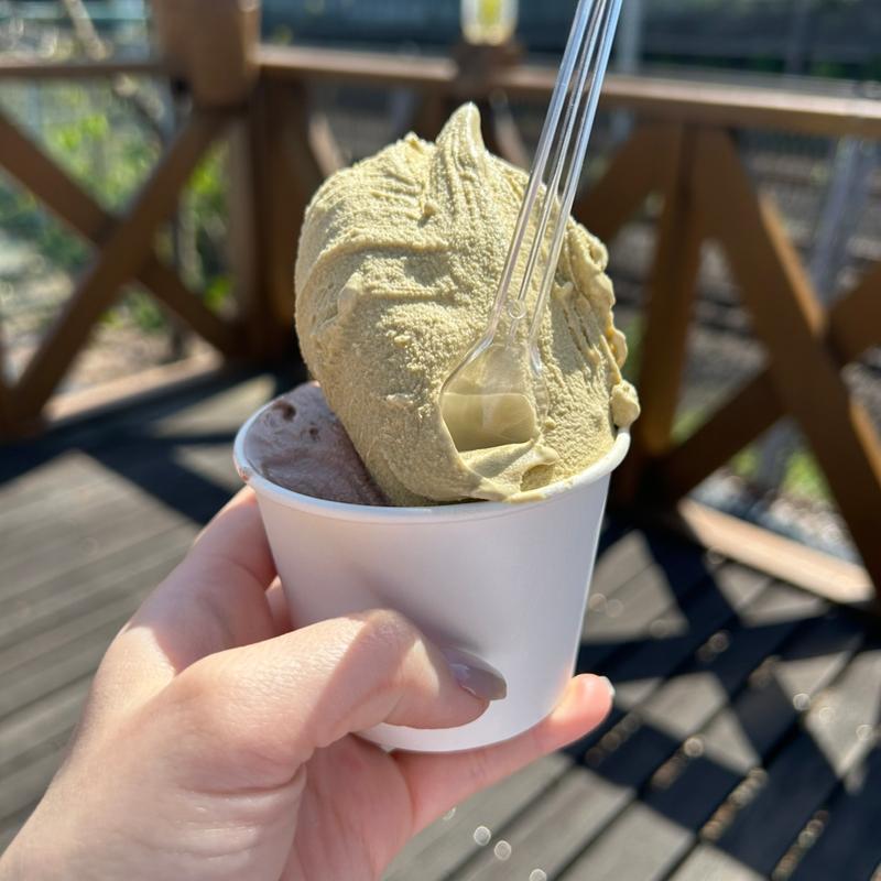 ジャンドゥーヤ&ほうじ茶(アイス工房メーリア)