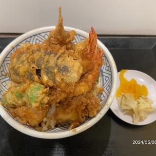 海鮮上天丼(日本橋 天丼 金子半之助 ラゾーナ川崎店)