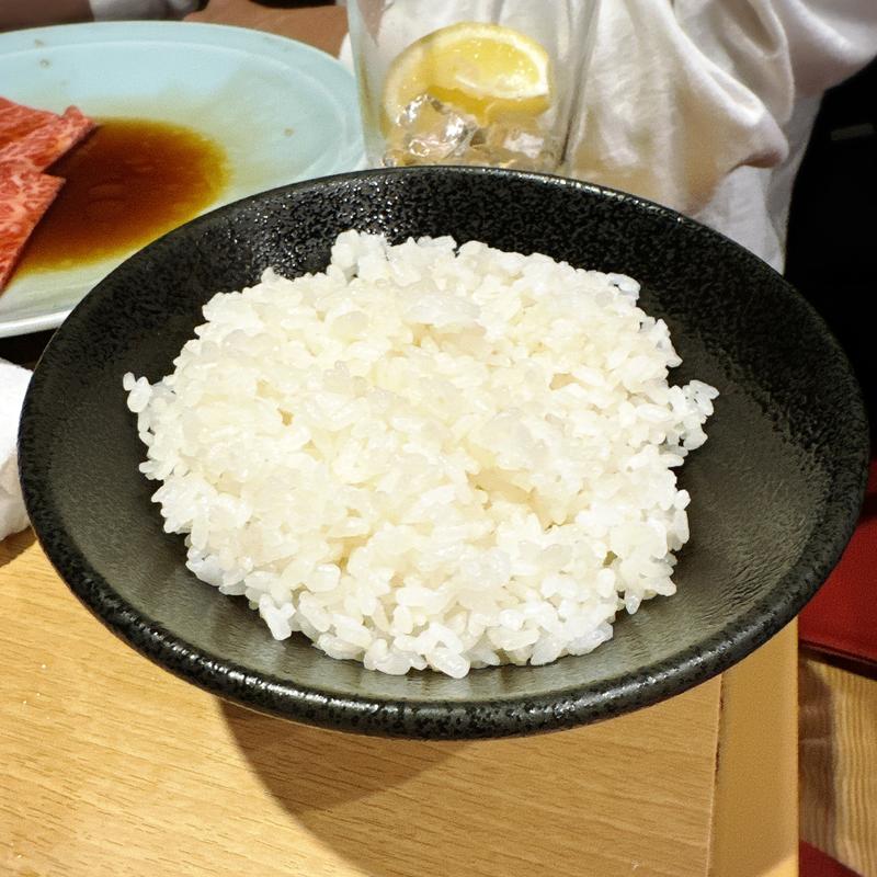 並ライス(金竜山 （キンリュウサン）)