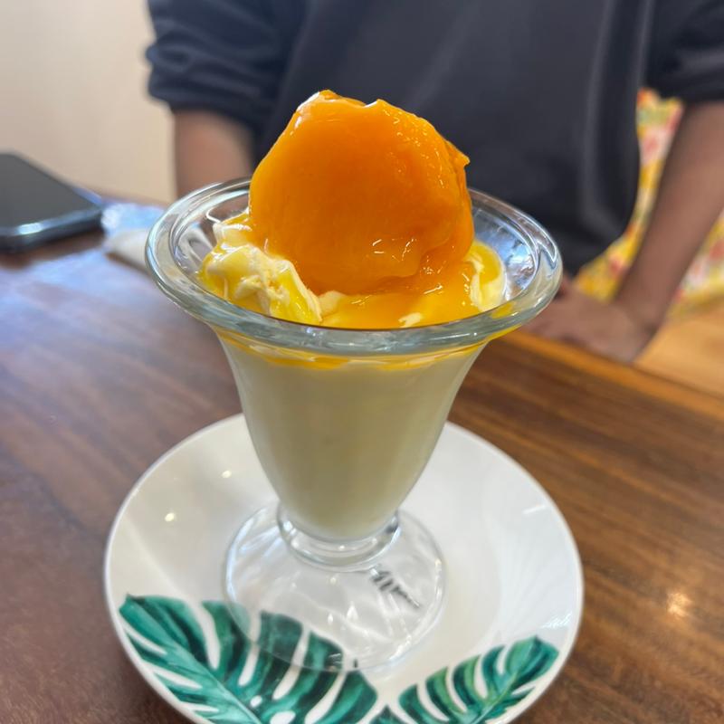 (マンゴーの森)