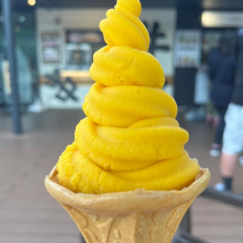 アルフォンソマンゴー(ジェラート)(フルーツジュースバー やまさん)