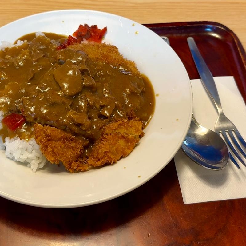 カツカレーライス(宝盛庵 )