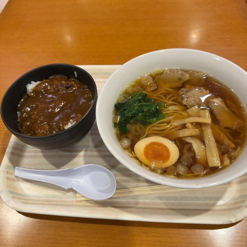 生姜醤油ラーメン ミニカレー(越後川口SA (下り))