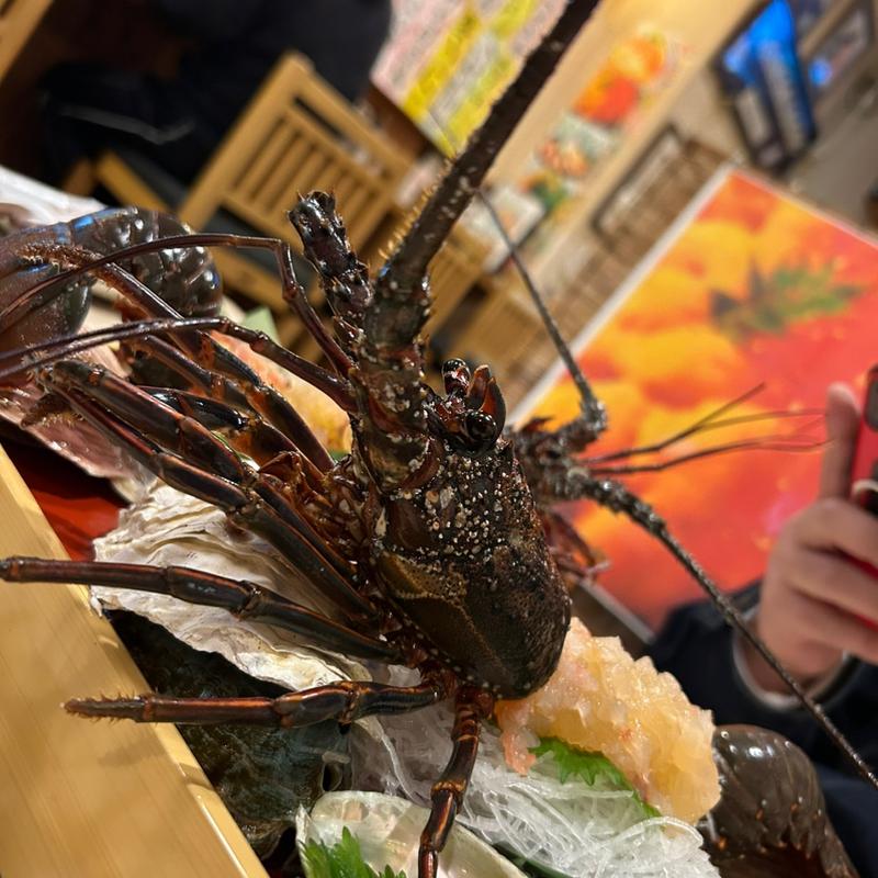 伊勢海老(とんかつ 八海 )