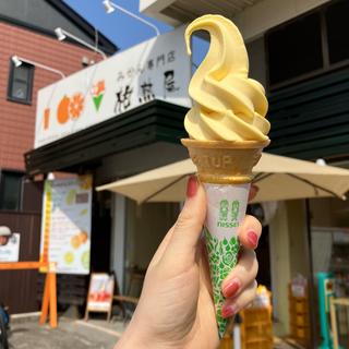 寿太郎みかんソフトクリーム(みかん専門店 柑熟屋)