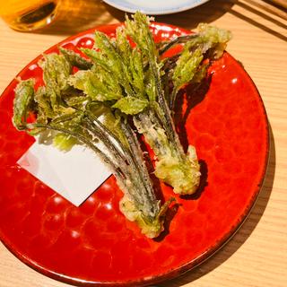 コシアブラ天ぷら(寿司トおでんにのや 大門店)