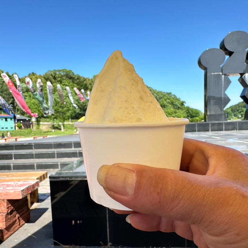 ゆず(道の駅もてぎ)