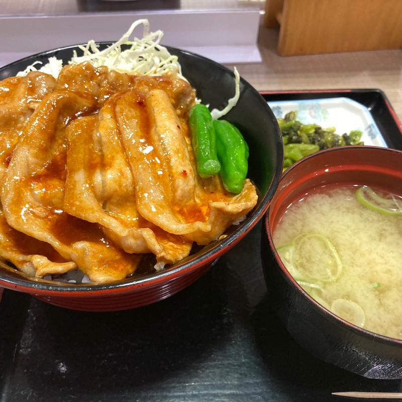 八ヶ岳ピリ辛豚丼(八ヶ岳PA(下り)スナックコーナー)