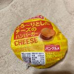とろーりとしたチーズのハンバーガー(カワチ薬品 足利南店)