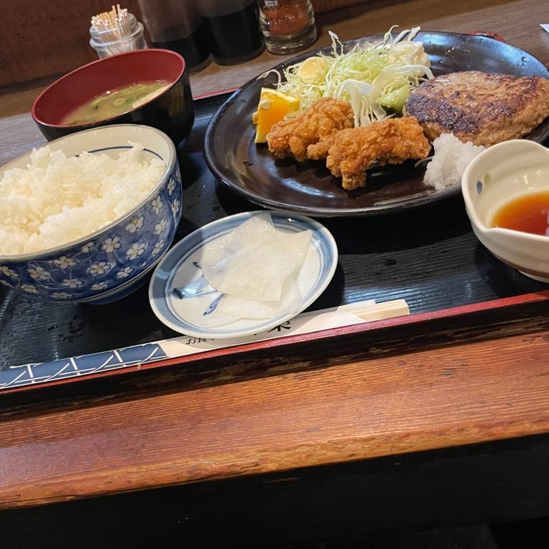 ハンバーグ＆唐揚げ盛り合わせ(味楽)