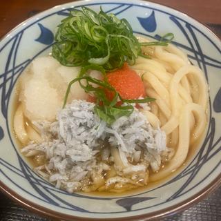 明太子しらすおろし(丸亀製麺 石岡店 )