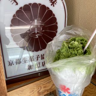 抹茶氷(都堂 )