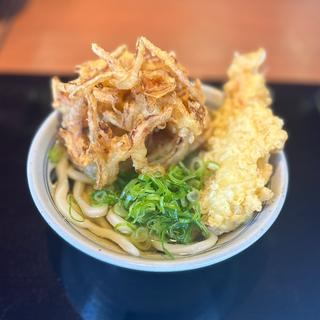天ぷらうどん(香の川製麺 羽曳野店)