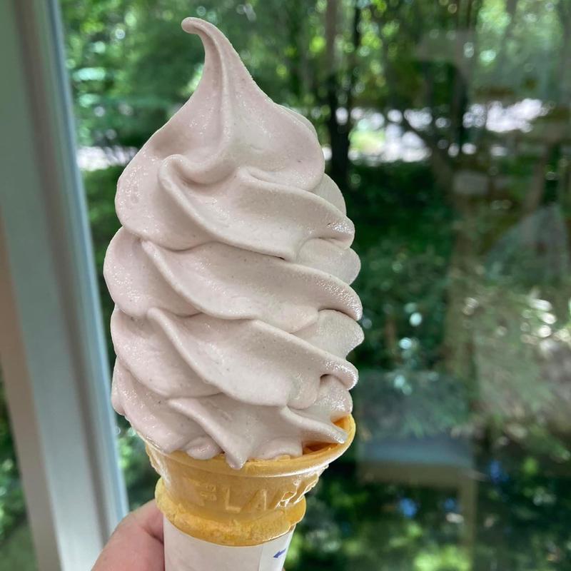 あずきソフトクリーム(御座候あずきミュージアム)