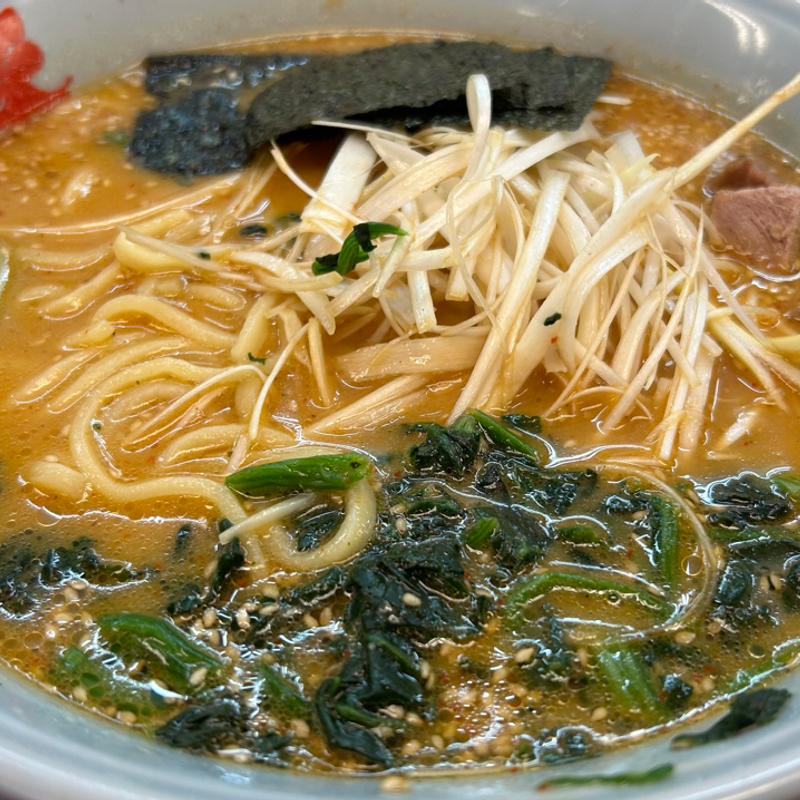 特製ねぎみそラーメン(ラーメン山岡家 大田原店)