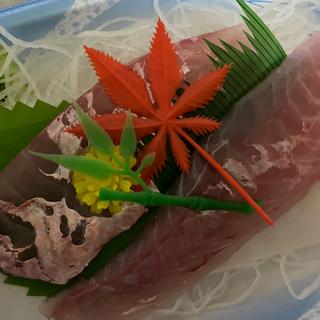 アジ刺身(矢崎)