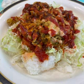 ケバブ丼